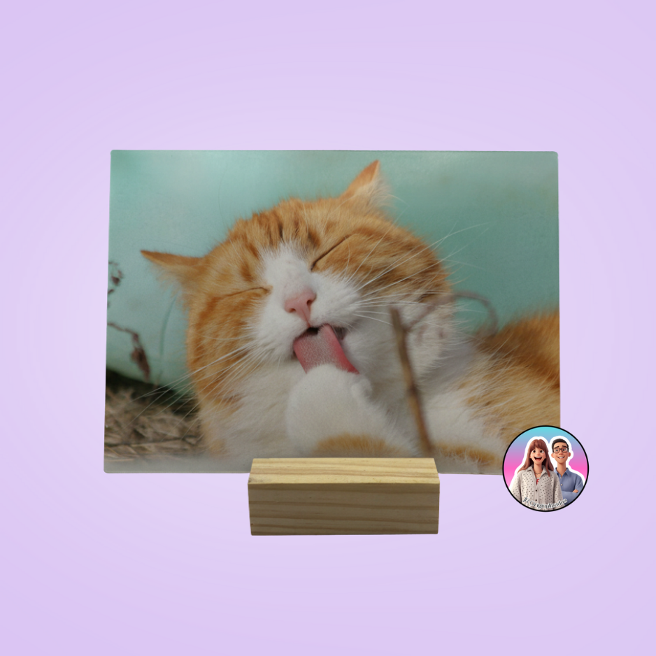 Moldura de Acrílico 13x18 - Image 2